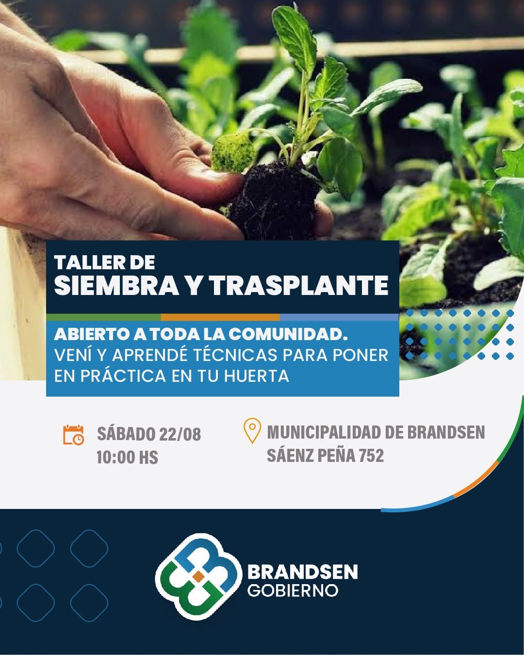 Taller de Siembra y Trasplante abierto a toda la comunidad